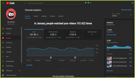 FastToon Youtuber overview