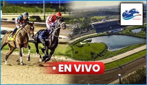 Hipódromo Camarero video statistics